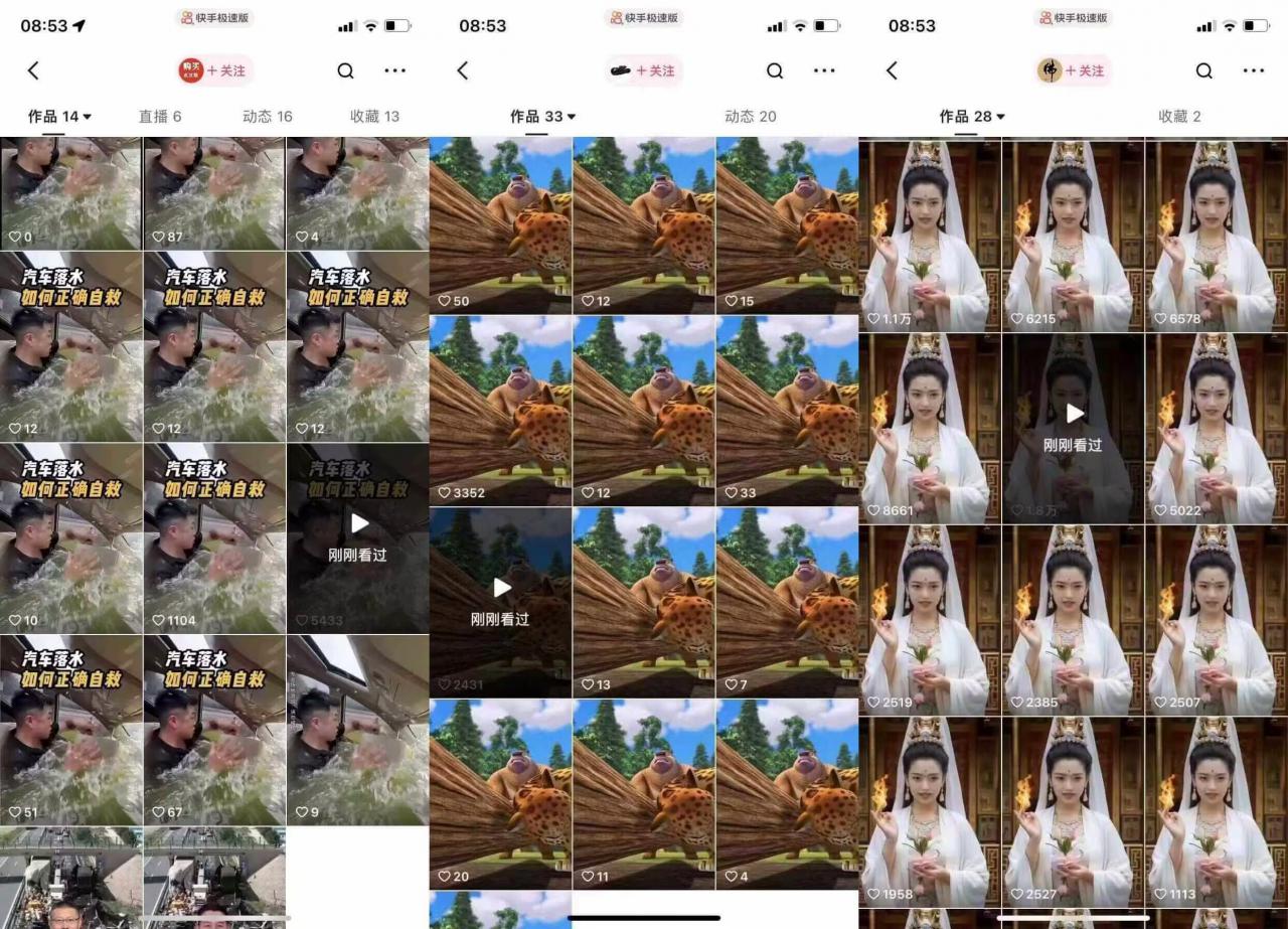 狗熊岭快手连怼技术，好物，涨粉都可以连怼-大东资源库