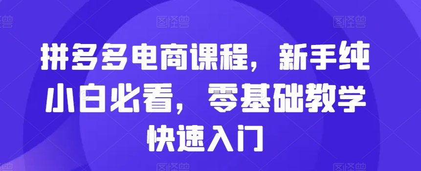 拼多多电商课程，新手纯小白必看，零基础教学快速入门-大东资源库