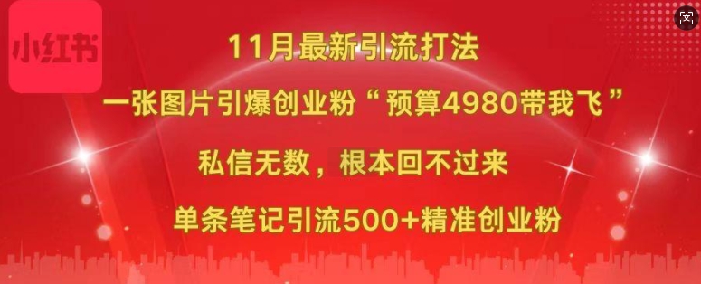 小红书11月最新图片打粉，一张图片引爆创业粉，“预算4980带我飞”，单条引流500+精准创业粉-大东资源库