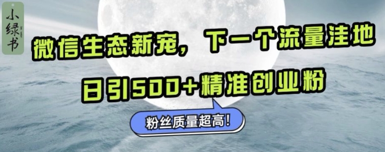微信生态新宠小绿书：下一个流量洼地，日引500+精准创业粉，粉丝质量超高-大东资源库