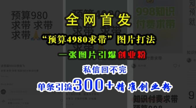 小红书“预算4980带我飞”图片打法，一张图片引爆创业粉，私信回不完，单条引流300+精准创业粉-大东资源库