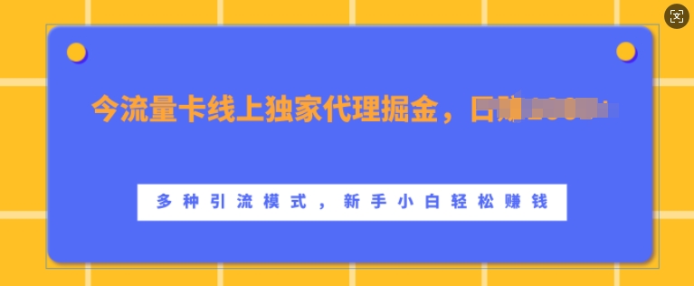 流量卡线上独家代理掘金，日入1k+ ，多种引流模式，新手小白轻松上手【揭秘】-大东资源库