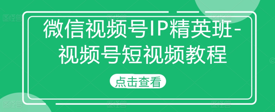 微信视频号IP精英班-视频号短视频教程-大东资源库