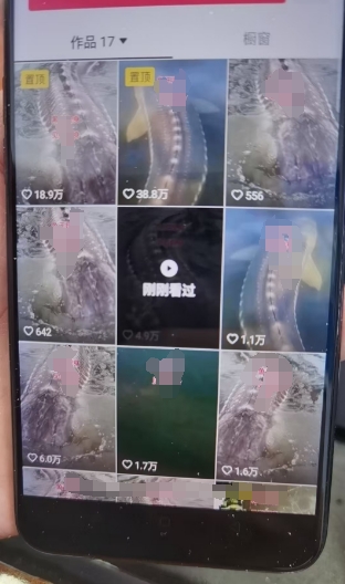 外面卖399的国学佛像原创暴力起号技术，快速起号，7天可达到一个万粉号-大东资源库