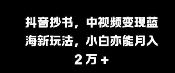 抖音抄书，中视频变现蓝海新玩法，小白亦能月入 过W【揭秘】-大东资源库