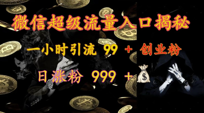 微信超级流量入口揭秘：一小时引流 99 + 创业粉，日涨粉 999 +-大东资源库