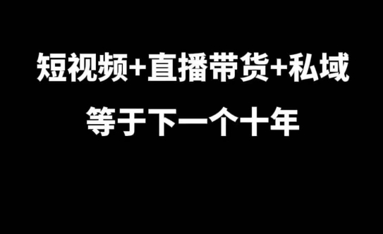 短视频+直播带货+私域等于下一个十年，大佬7年实战经验总结-大东资源库