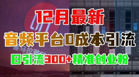 12月最新：音频平台0成本引流，日引流300+精准创业粉-大东资源库