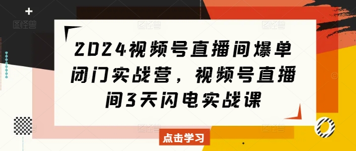 2024视频号直播间爆单闭门实战营,视频号直播间3天闪电实战课-大东资源库