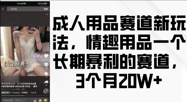 成人用品赛道新玩法，情趣用品一个长期暴利的赛道，3个月收益20个【揭秘】-大东资源库