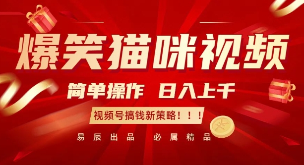 爆笑猫咪视频：简单操作，日入过K，视频号搞钱新策略【揭秘】-大东资源库