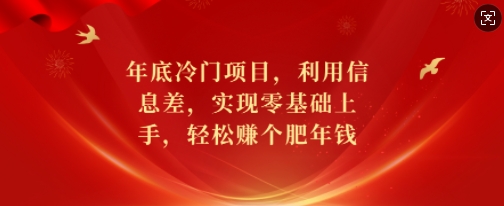 年底冷门项目，利用信息差，实现零基础上手，轻松赚个肥年钱【揭秘】-大东资源库
