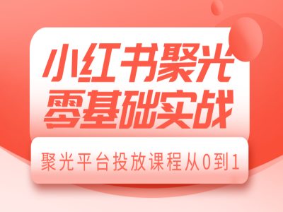 小红书聚光零基础实战，聚光平台投放课程从0到1-大东资源库