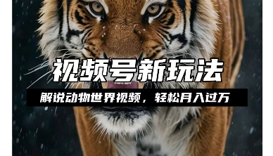 利用动物世界解说视频，赚分成计划收益，轻松月入过W，操作简单【揭秘】-大东资源库