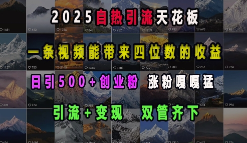 2025自热引流天花板，一条视频能带来四位数的收益，引流+变现双管齐下，日引500+创业粉，涨粉嘎嘎猛-大东资源库