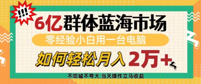 6亿群体蓝海市场，零经验小白用一台电脑，如何轻松月入过w【揭秘】-大东资源库