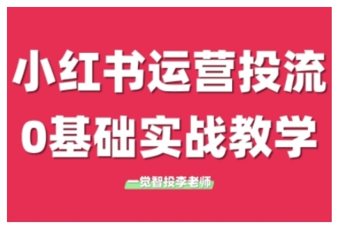 小红书运营投流，小红书广告投放从0到1的实战课，学完即可开始投放-大东资源库
