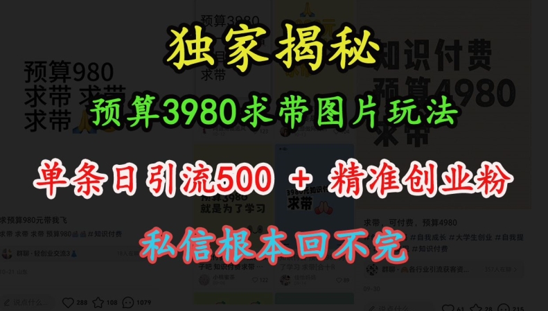 预算3980求带 图片玩法,单条日引流500+精准创业粉,私信根本回不完-大东资源库