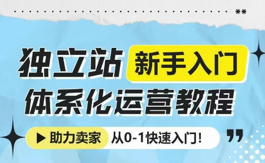 独立站新手入门体系化运营教程，助力独立站卖家从0-1快速入门!-大东资源库