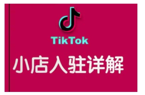 TikTok跨境小店运营全攻略,帮助你独立运营TK跨境小店的能力,实现销量增长-大东资源库
