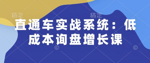 直通车实战系统：低成本询盘增长课，让个人通过技能实现升职加薪，让企业低成本获客，订单源源不断-大东资源库