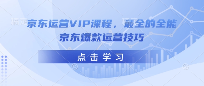 京东运营VIP课程，最全的全能京东爆款运营技巧-大东资源库