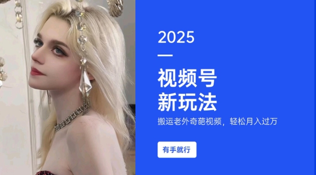 搬运老外奇葩视频，撸视频号分成计划收益，每天只需一小时，新手小白轻松月入过W-大东资源库