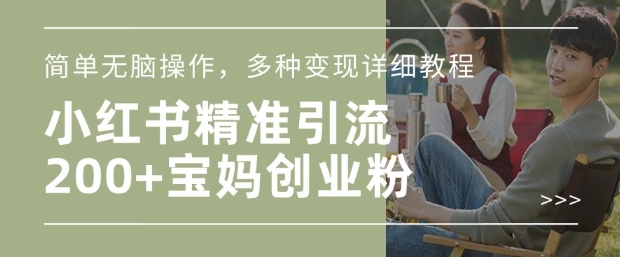 小红书混剪日引200+宝妈创业粉，简单无脑操作，多种变现详细教程-大东资源库