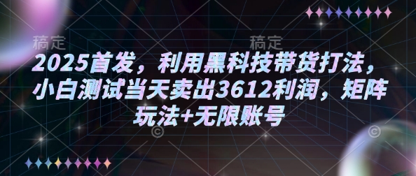 2025首发，利用黑科技带货打法，小白测试当天卖出3612利润，矩阵玩法+无限账号【揭秘】-大东资源库