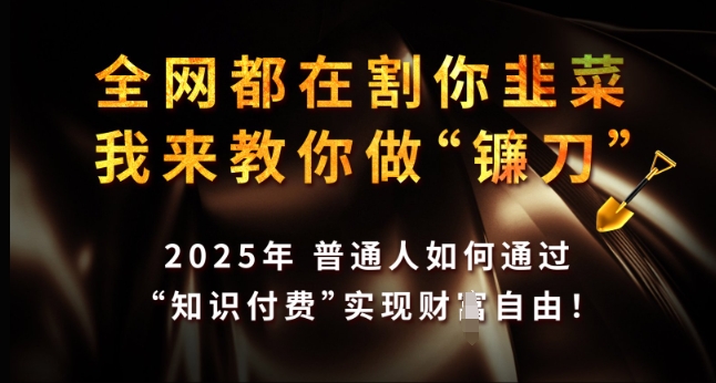 全网都在割你韭菜，我来教你做镰刀，2025年普通人如何通过 知识付费 实现财F自由【揭秘】-大东资源库