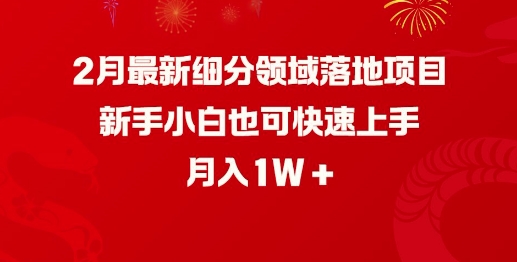 2月最新细分领域落地项目，新手小白也可快速上手，月入1W-大东资源库