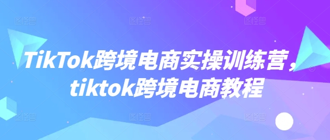 TikTok跨境电商实操训练营，tiktok跨境电商教程-大东资源库