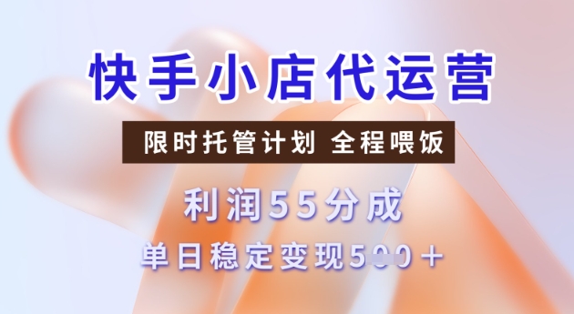 快手小店代运营3.0，模式新升级，收益55分，稳定单日5张【揭秘】-大东资源库