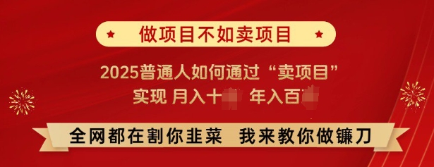 必看，做项目不如卖项目，2025普通人如何通过“卖项目”实现月入十个，年入百个-大东资源库