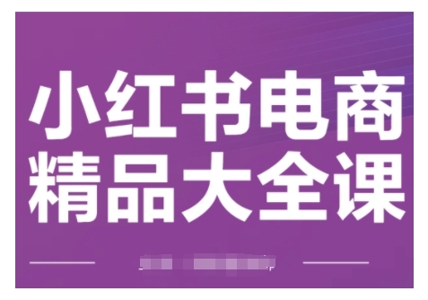 小红书电商精品大全课，快速掌握小红书运营技巧，实现精准引流与爆单目标，轻松玩转小红书电商-大东资源库