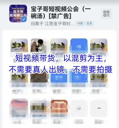 宝子哥头部团队短视频带货，以混剪为主，不需要真人出镜，不需要拍摄【更新12月】-大东资源库