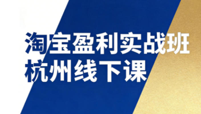 淘宝盈利实战班杭州线下课12月26-28日（音频+字幕），帮你掌握SOP流程+12门核心技术-大东资源库