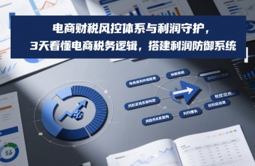 电商财税风控体系与利润守护，3天看懂电商税务逻辑，搭建利润防御系统-大东资源库