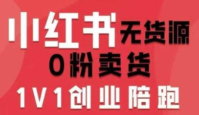 小红书无货源0粉电商课，开店准备、选品策略、笔记撰写、视频剪辑、数据分析、账号打造、资料文档（更新）-大东资源库