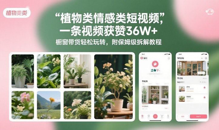 植物类情感类短视频，一条视频获赞36W+，橱窗带货轻松玩转，附保姆级拆解教程-大东资源库