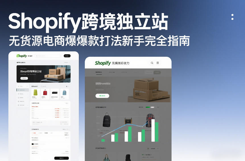 Shopify跨境独立站无货源电商爆款打法新手完全指南-大东资源库