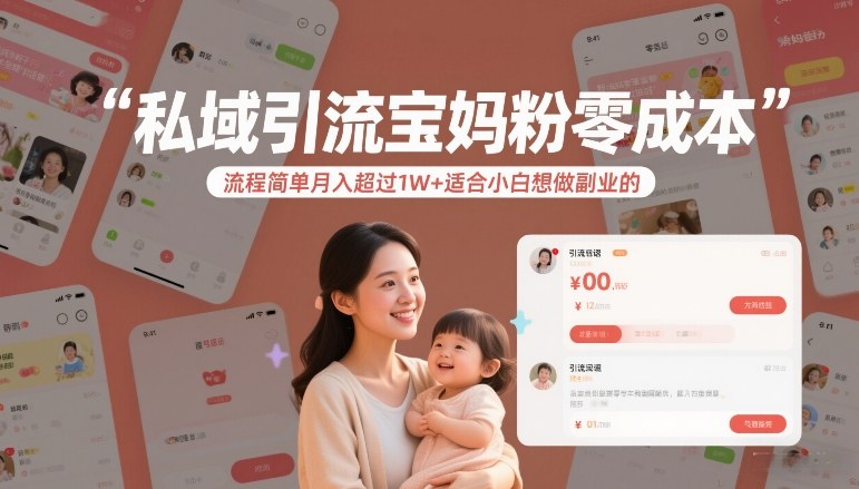 私域引流宝妈粉零成本流程简单月入超过1W+适合小白想做副业的-大东资源库