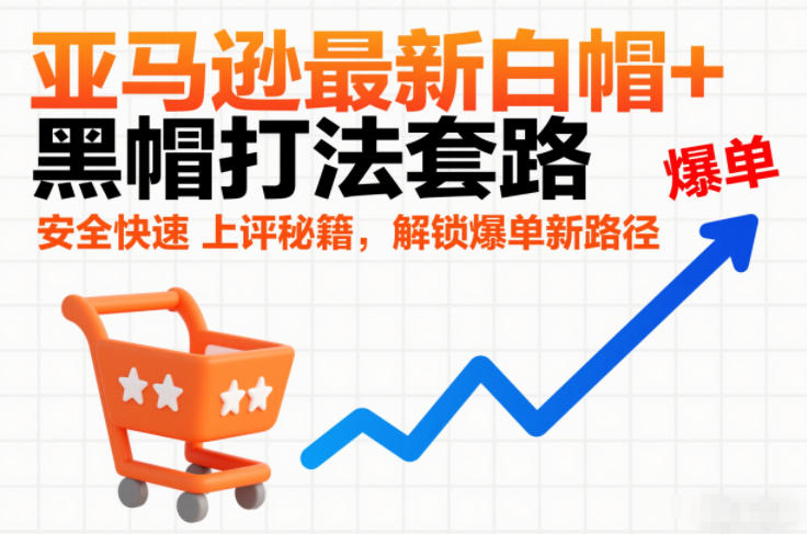 亚马逊最新白帽+黑帽打法套路，安全快速上评秘籍，解锁爆单新路径-大东资源库
