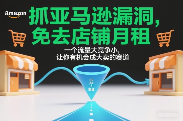 抓亚马逊漏洞，免去店铺月租，一个流量大竞争小，让你有机会成大卖的赛道-大东资源库