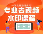 专业去视频水印教程 静态水印、动态水印、文字水印、图片水印一套教程通通搞定-大东资源库