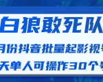 白狼敢死队最新抖音短视频批量起影视号（一天单人可操作30个号）视频课程-大东资源库