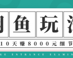 龟课·闲鱼项目玩法实战班第12期，操作10天左右利润有8000元细节玩法-大东资源库