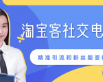 某站内部课程：淘宝客社交电商裂变，精准引流和粉丝裂变模式详解（共6节视频）-大东资源库