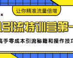 卓凡引流特训营第一期：高手零成本引流秘籍和操作技巧，让你精准流量倍增-大东资源库