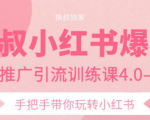 狼叔小红书爆款推广引流训练课4.0，手把手带你玩转小红书-大东资源库